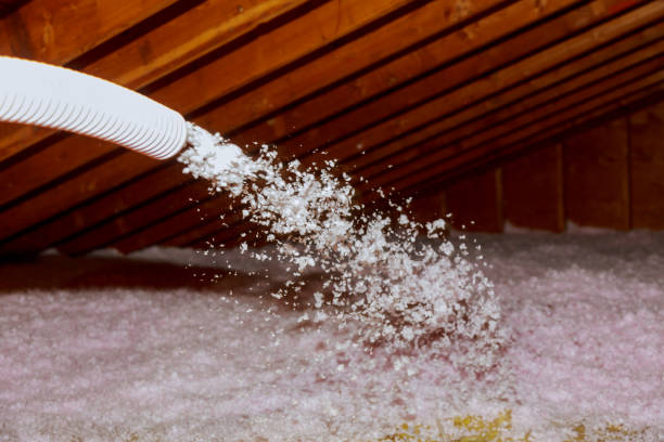 Best Insulation for Specific Applications in Rodney Village, DE
