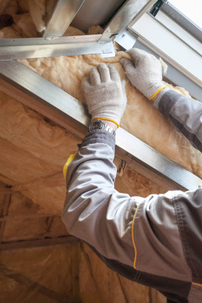 Professional Insulation Contractor in DE