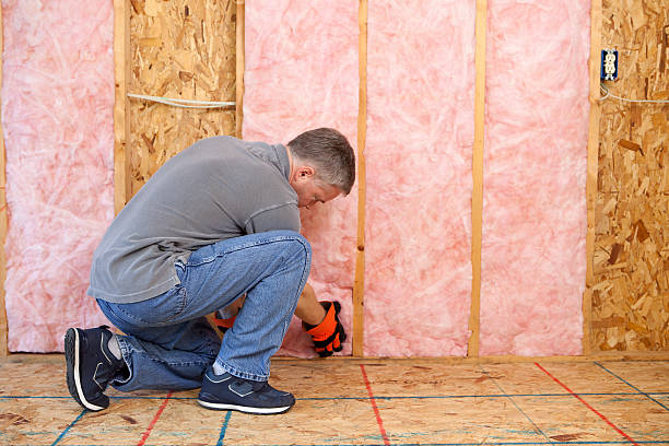 Best Commercial Insulation in Rodney Village, DE