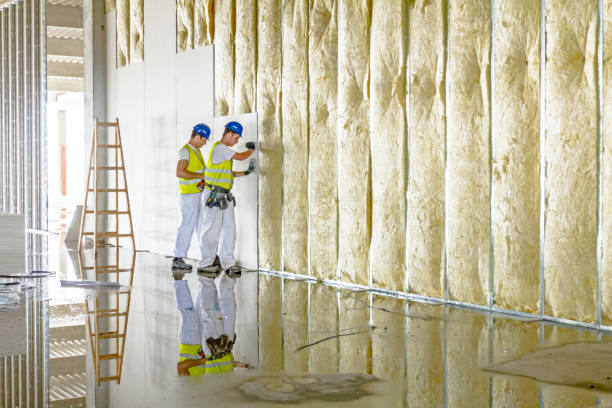 Best Insulation Installation Services in Rodney Village, DE